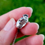 belly of silver snail necklace by xannefran