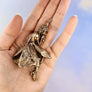 fairy sleeping in palm of hand